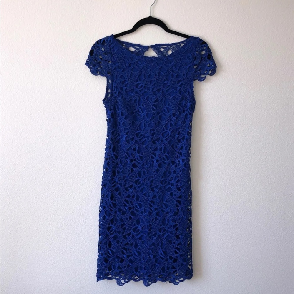 Alice + Olivia Lace Blue Dress